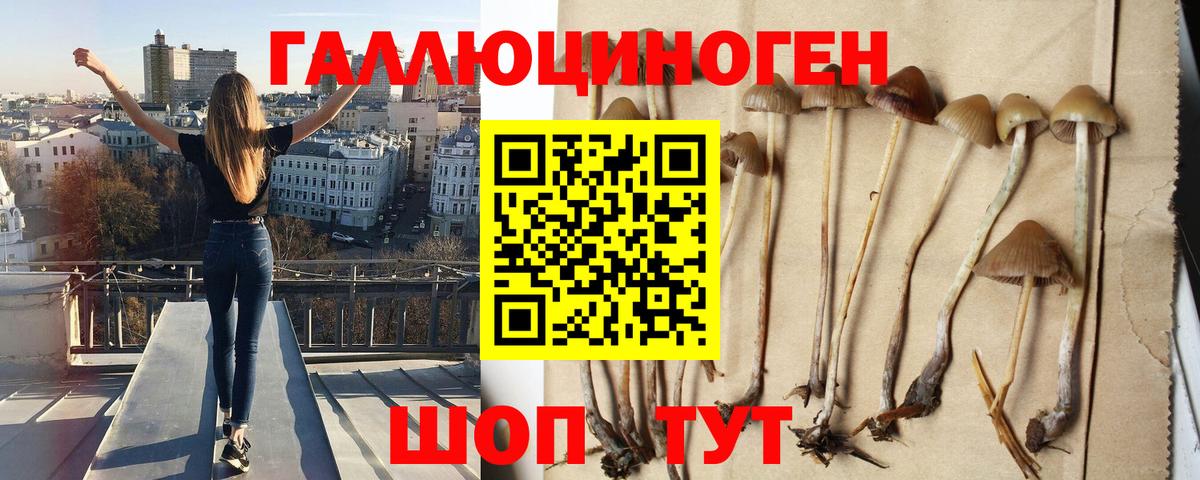Галлюциногенные грибы MAGIC MUSHROOMS Большой Камень